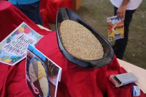 Millet-dishes-presented